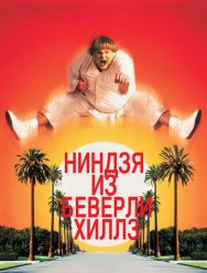 Ниндзя из Беверли-Хиллз
