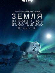 Земля ночью в цвете 2 сезон 1,2,3,4,5,6 серия