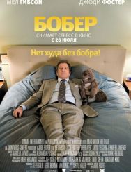Бобер