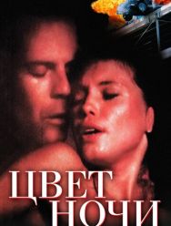 Цвет ночи