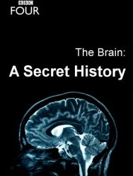 The Brain: A Secret History 1 сезон 1,2,3 серия