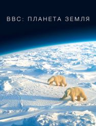 BBC: Планета Земля 2 сезон 1,2,3,4,5,6 серия