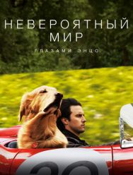 Невероятный мир глазами Энцо