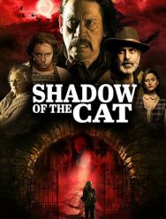 La Sombra Del Gato