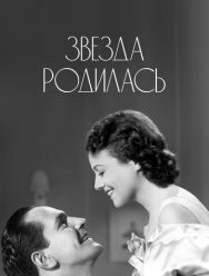Звезда родилась