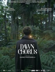 Dawn Chorus
