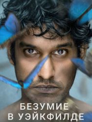 Безумие в Уэйкфилде 1 сезон 1,2,3,4,5,6,7,8 серия