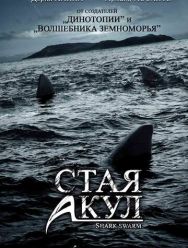 Стая акул