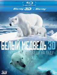 Полярные медведи