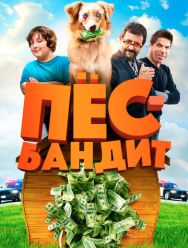 Пёс Бандит