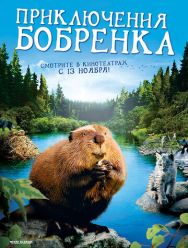 Приключения бобрёнка