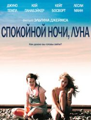 Спокойной ночи, Луна