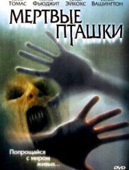 Мертвые пташки