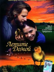 Летите домой