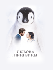 Любовь и пингвины