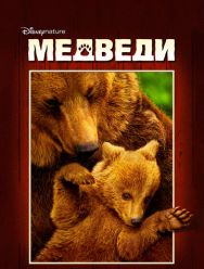 Медведи