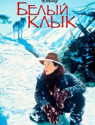 Белый клык