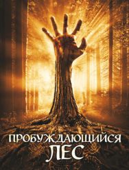 Пробуждающийся лес