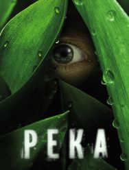 Река 1 сезон 1,2,3,4,5,6,7,8 серия
