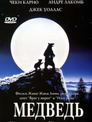 Медведь